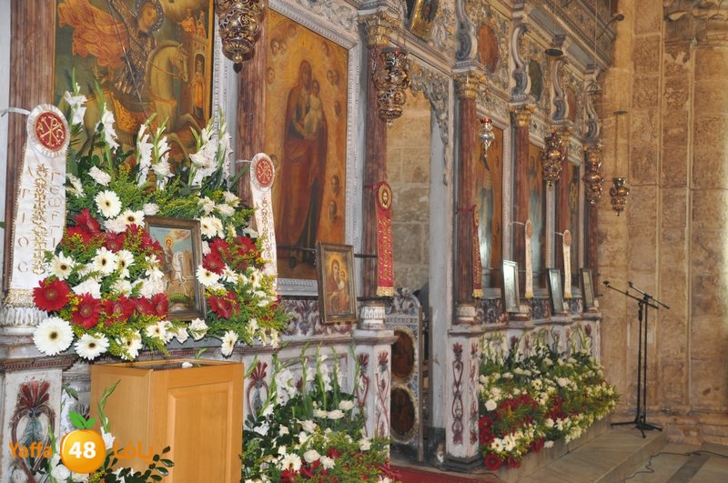 3eed ludj j31 (4).JPG